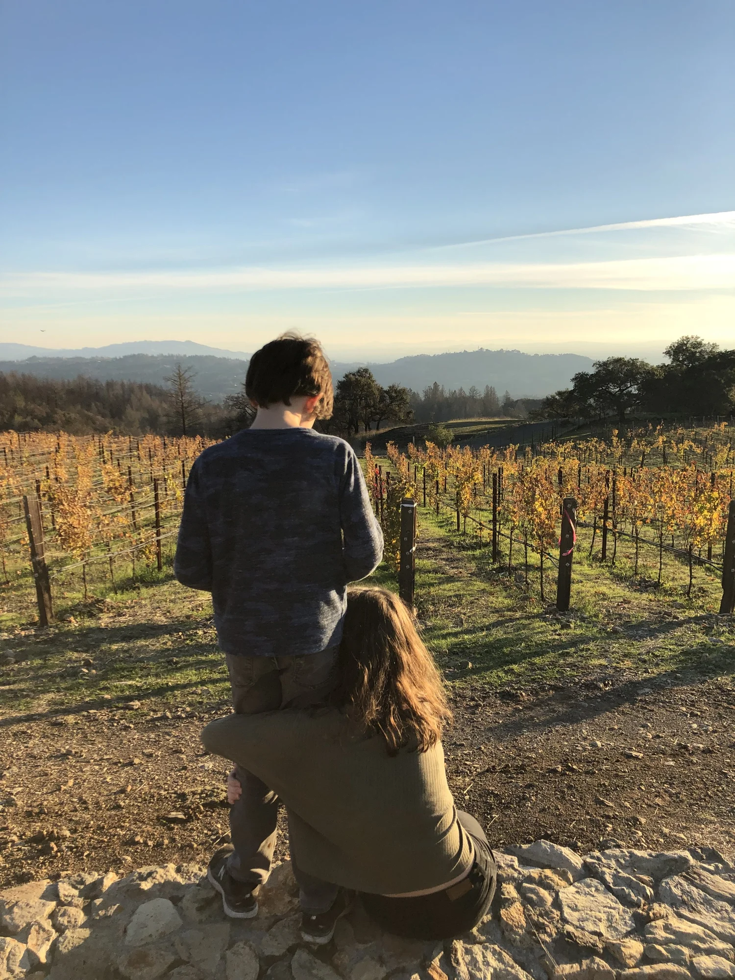 A family moment overlooking the vineyard